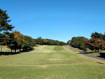 ������ ������ȥ꡼����� ��ͧ��ư��