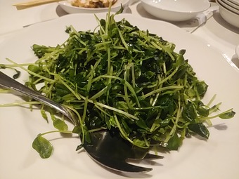 ���� ������ϰ ������������ �������� �������� Ʀ�� ��������