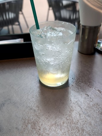 自家製フルーツ酵素スカッシュ ランチ 虎ノ門 神谷町トラピリカ TWG