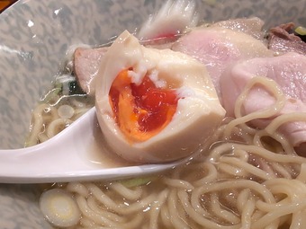 煮玉子 特製生姜塩ラーメン ハちゃんラーメン新橋店 汐留 八ちゃん