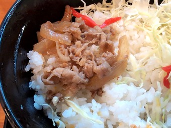 ���Ȥ� ��Ч ���졼 MAX�꿩������ �Ķ�������� ����Ω����������