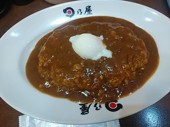 汐留ランチ 日乃屋カレー 日野やカレー ひのやカレー カレッタ汐留