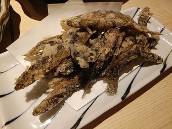 ������̾ʪ �褭�ɤ��礦���Ȥ� ���� ������ ������ ���ĵ��