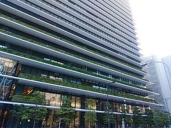 ¸×¥ÎÌç¥Ò¥ë¥º ¥Ó¥¸¥Í¥¹¥¿¥ï¡¼