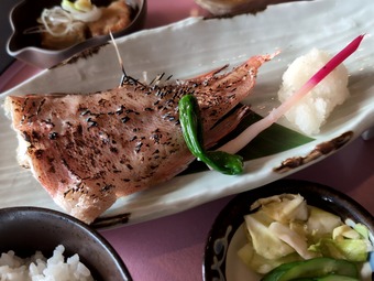 �ֵ����ҾƤ� �����ե���ȥ꡼����� ������� �������ǥ��������