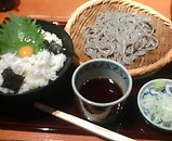 ���� ���� ���Ĳ� ���� ���餹Ч