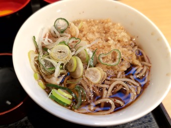 ī�꿩 JR���ھ�ز����� ������ä��餯ī�꿩 Ω����������