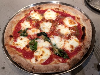 �����ϡ��� �ץ���ҥ륺���ơ�����󥿥���쥤�����ԥ�