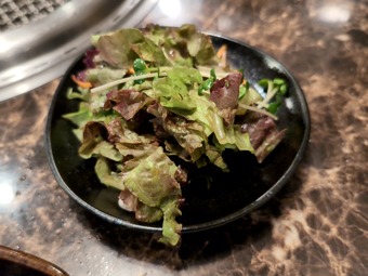 ����� ���� ����̾Ź ���� ���� �������