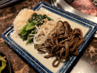 �ʥ�� ���� ����̾Ź ���� ���� �������