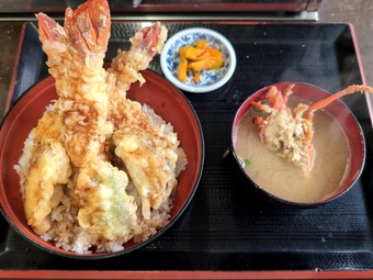 ������ϷŷЧ �����縶 ��Ϸ�� ���Ӥ�