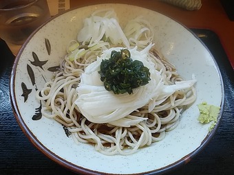 Ĺ���⤽�� ���� ������ ��ëĮ Ω���������� ���Ф褷��ëĮŹ