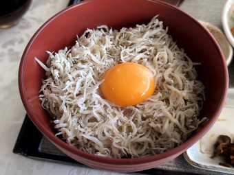 �����ե饤�ȥ��饹Ч  �㽧����ե�󥯥� ����