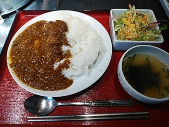 新橋ランチ 新橋カレー 秀苑天 しゅうえんてん ランチ カレー