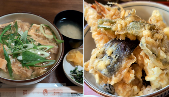 �������� �ץ������ ���� ���Ч ŷЧ