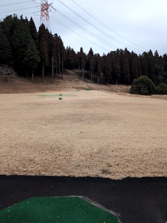 ������ �����ե���ȥ꡼����� ������� �������ǥ��������