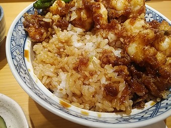 新橋ランチ 之村 ゆきむら かき揚げ丼 御成門 のむら 光村