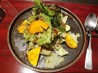銀座 囃shiya はやしや ランチ たっぷり朝採れサラダ