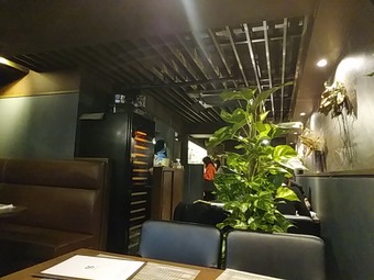 銀座ランチ シーバードコロニー SeabirdColony 西五ビル 座席