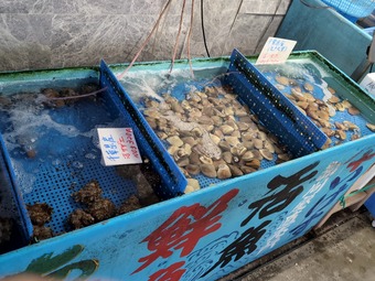 ������ �����縶 ��Ϸ�� ���Ӥ�