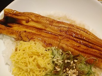 銀座 穴子専門店 はかりめ ランチ あなご丼赤
