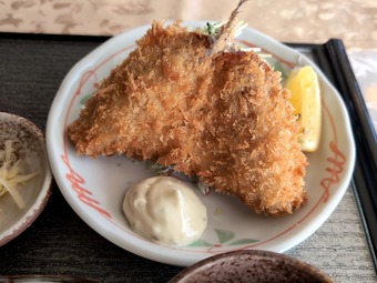 �����ե饤�ȥ��饹Ч  �㽧����ե�󥯥� ����