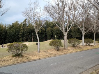 練習場 アプローチグリーン 加茂ゴルフ倶楽部 千葉
