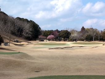 ������ �����ե���ȥ꡼����� ������� �������ǥ��������