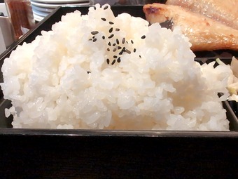 �������������ӥ� ����������α ����TOP