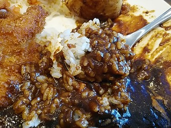 新橋 カレー ゴッホ かつカレー 新橋駅前ビルランチ