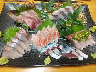 ���Į ����sun �������ʤ��� ʿ�¾�ϩ ������ �ɿ� �������