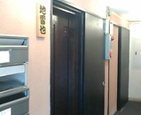 ���� ������ ����� ���벰