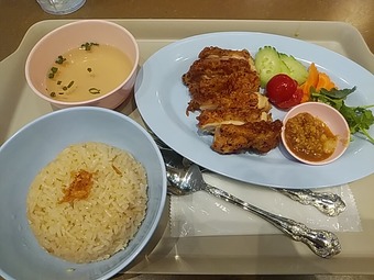 �ץ���ҥ륺���ơ�����󥿥 ���� ������饤�������