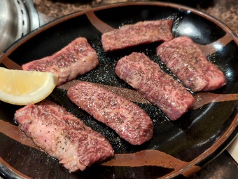 �ϥ�� ���� ���� ���� ���� �������