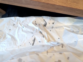 紙エプロン 新橋 えどもんど ラーメン