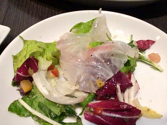 豊洲直送真鯛のカルパッチョ銀座ルフージュ飲み放題コース