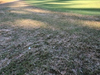 ������ ������ Ϸ��  ��ư�� ���հ�εܥ���ȥ꡼�����