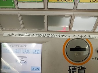 �������� ������ �˥塼�����ӥ� ���������� �꿩 ����