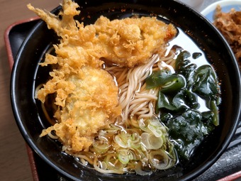 ����ŷ���� ��ŷ ����Į ƽ���� ƽ���� ϩ�� Ω����������