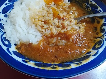 新橋ランチ 丹波屋 たんばや 立ち食いそば ニュー新橋ビル カレー