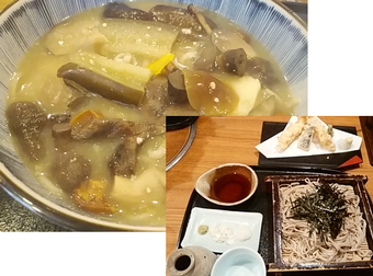 新橋ランチ 新橋蕎麦 おにかけ 信州そば ぶちこみ 天せいろ