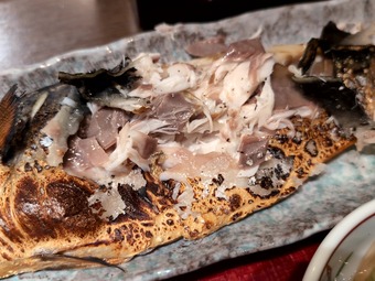 ���ľ�Ź��Τ��������Ƥ��꿩 �˥塼�����ӥ� ���������