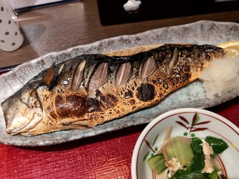 ���ľ�Ź��Τ��������Ƥ��꿩 �˥塼�����ӥ� ���������