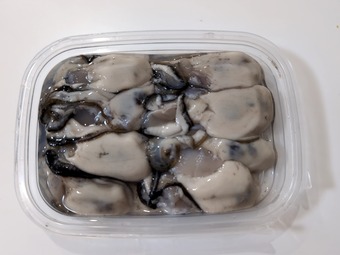 �̳�ƻ�����޸л� ������ ������ 2026ǯǯ��ǯ�� ����