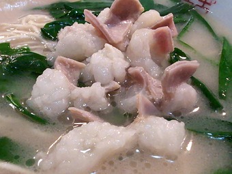 ��ĥ˥�顼��� ��α��¥顼��� ���¥ۥ���Ʋ