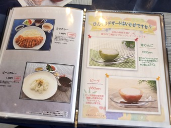 ���� �쥹�ȥ���˥塼 ��ǽ�����μ�����ȥ꡼����� PGM