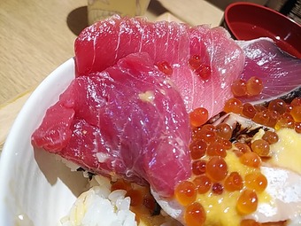 ����Ч �ߤ�Ч�� �ߤ���Ʋ �������� Ω����������Ч