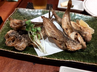 �˼��ϥ��ϥ����Ȥ� �������ꥳ���� �������� ��򲰤�ä���ܤ���