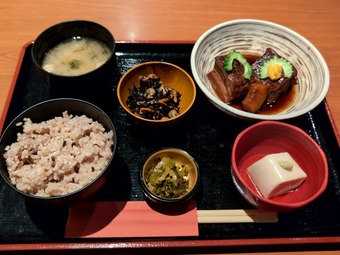 ��������եƥ����꿩 �����������Ź���� ��������