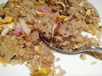 �������� �˥塼�����ӥ� ���㡼�ϥ� ���Ӳ� ���㡼�ϥ� ����